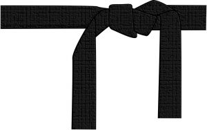 LEAN BLACK BELT